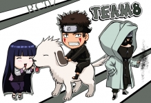 team 8